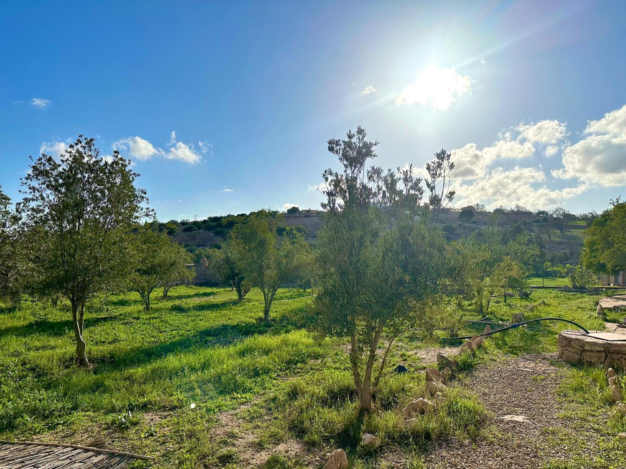 Quiet Oasis Luxury Stone With Panoramic Views Near Villa Essaouira